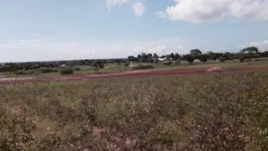Plot for Sale.From 1/4 Acre at Mjanaheri,Kokotoni1 Km Form Tarmac