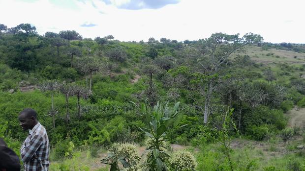 50*100 And1.3 Acres of Land for Sale at Athi Town, Kiambu - thumbnail 3