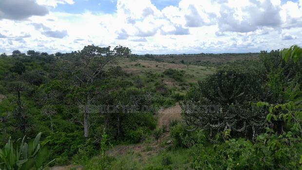 50*100 And1.3 Acres of Land for Sale at Athi Town, Kiambu - thumbnail 4