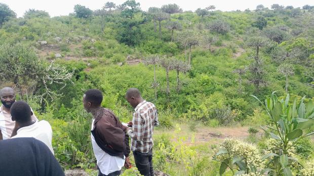 50*100 And1.3 Acres of Land for Sale at Athi Town, Kiambu - thumbnail 5