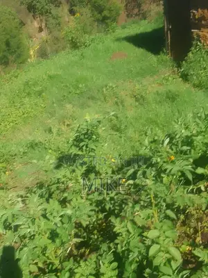 Residental/Comercial Farming Land for Sale, Narok