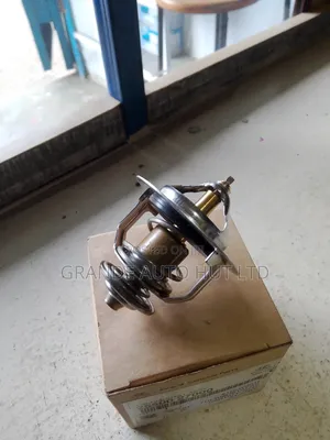 Thermostat Hyundai Santa Fe 2008 Diesel (Genuine)