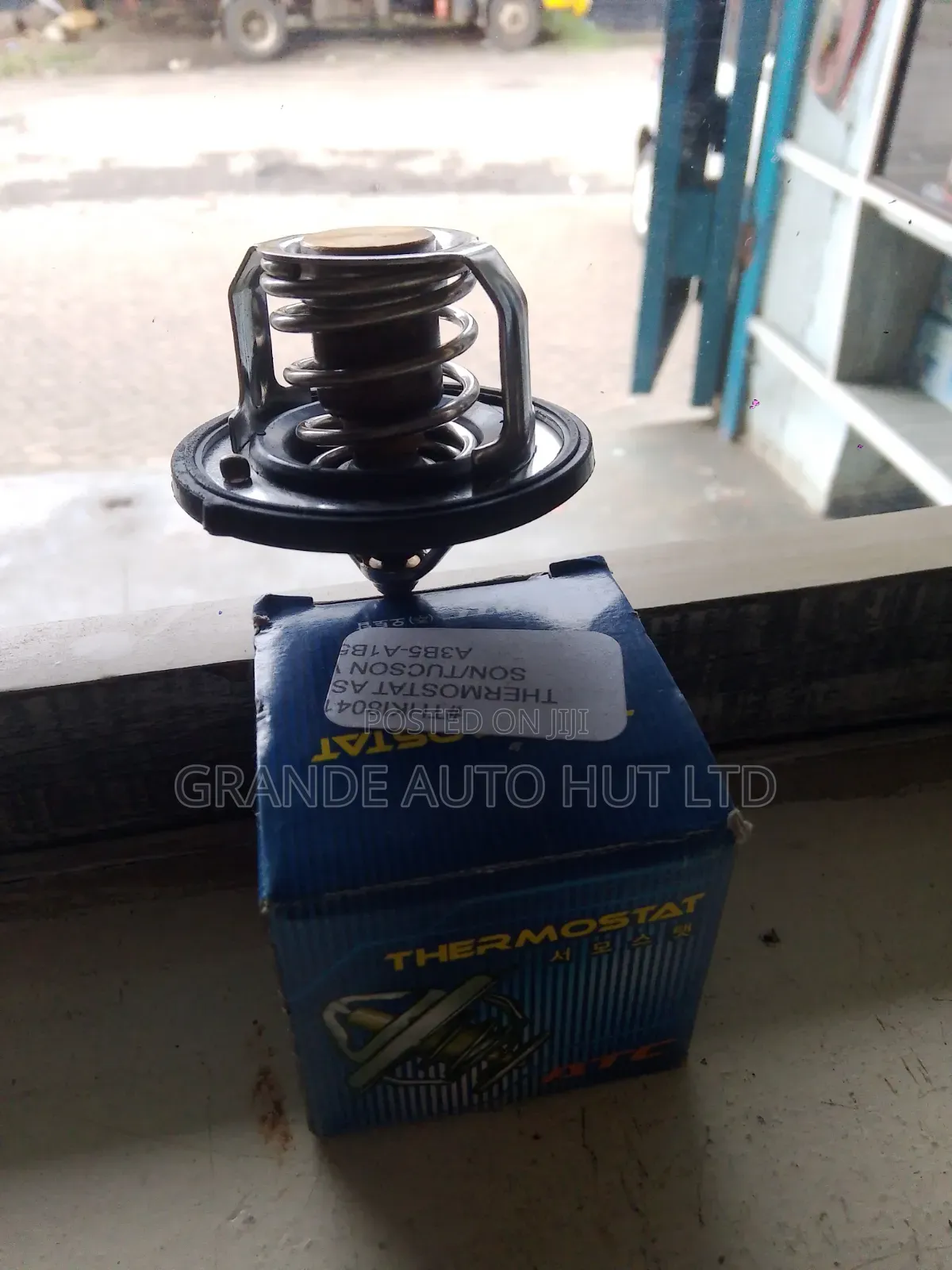 Thermostat Hyundai Sonata/Tucson (Atc Brand)