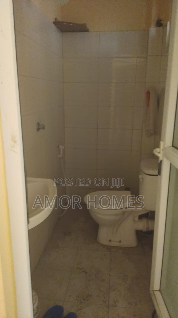 1bdrm Bedsitter in Lake View, Mtambo for rent - thumbnail 5