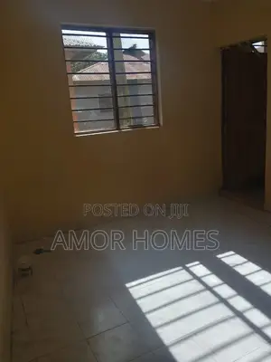 1bdrm Bedsitter in Palestina, Mtambo for rent