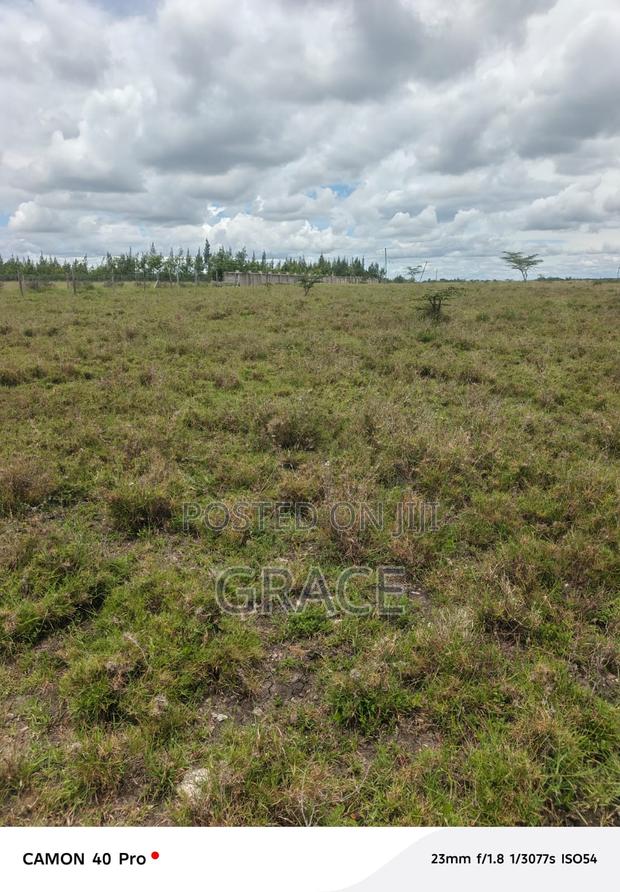 Prime Mbuni Gardens (Near Ostrich Farm)Plots for Sale - main view