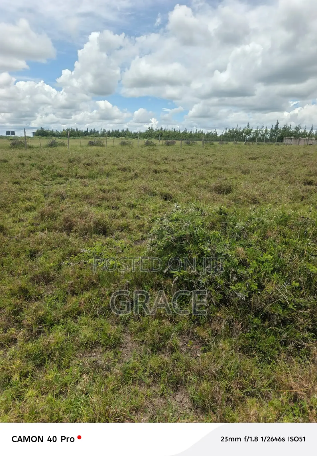 Prime Mbuni Gardens (Near Ostrich Farm)Plots for Sale