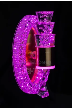 Modern Stunning Wall Light