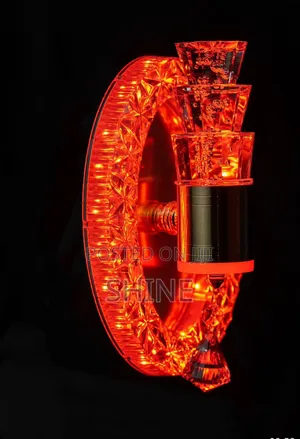 Modern Stunning Wall Light