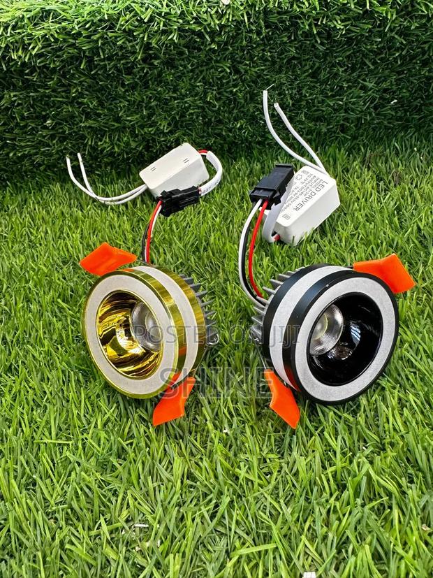 Premium Led Cob Downlighters