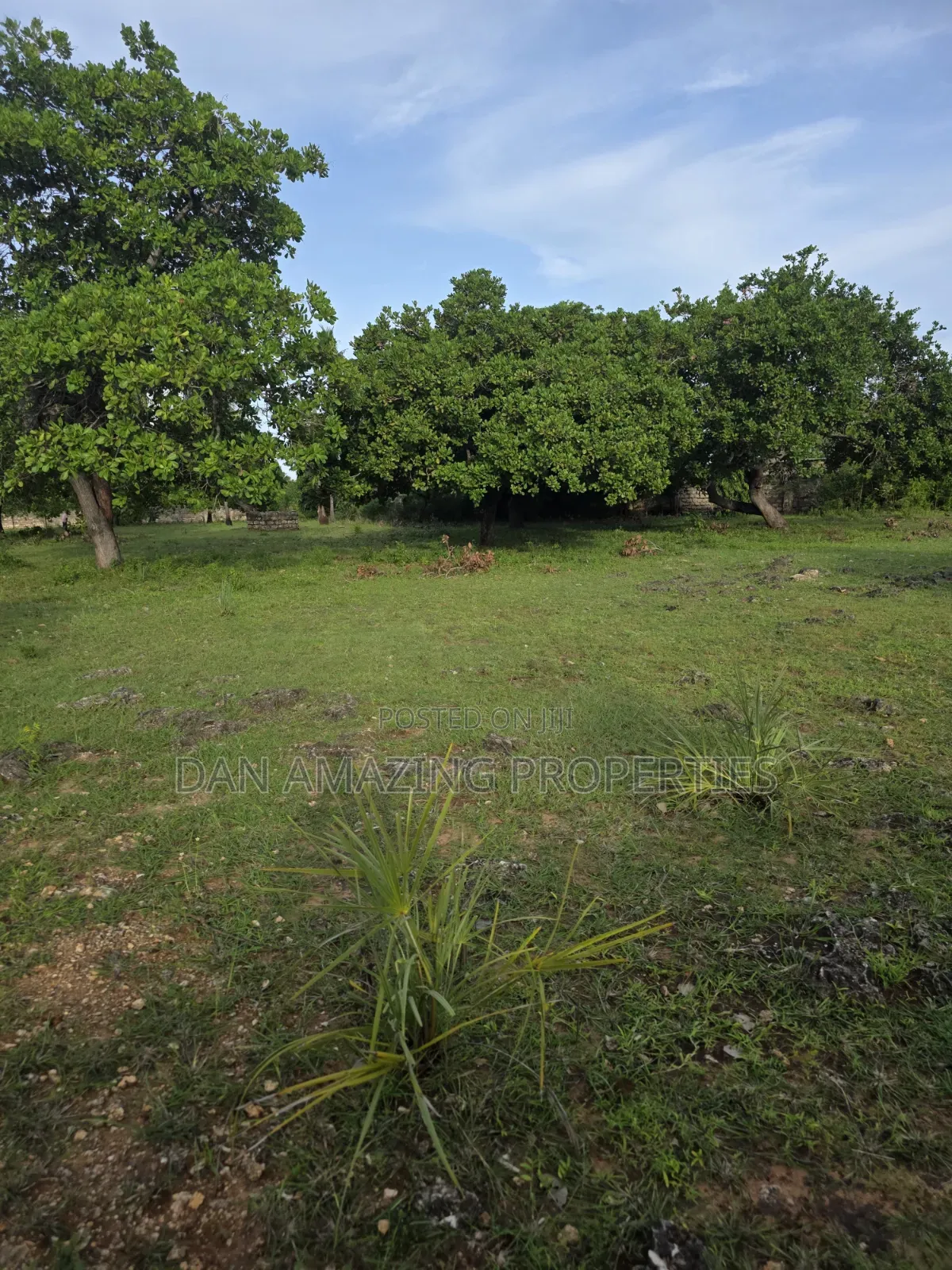 1 Acre With a Well Diani Kongo River Area for Sale 3 Row From the Sea