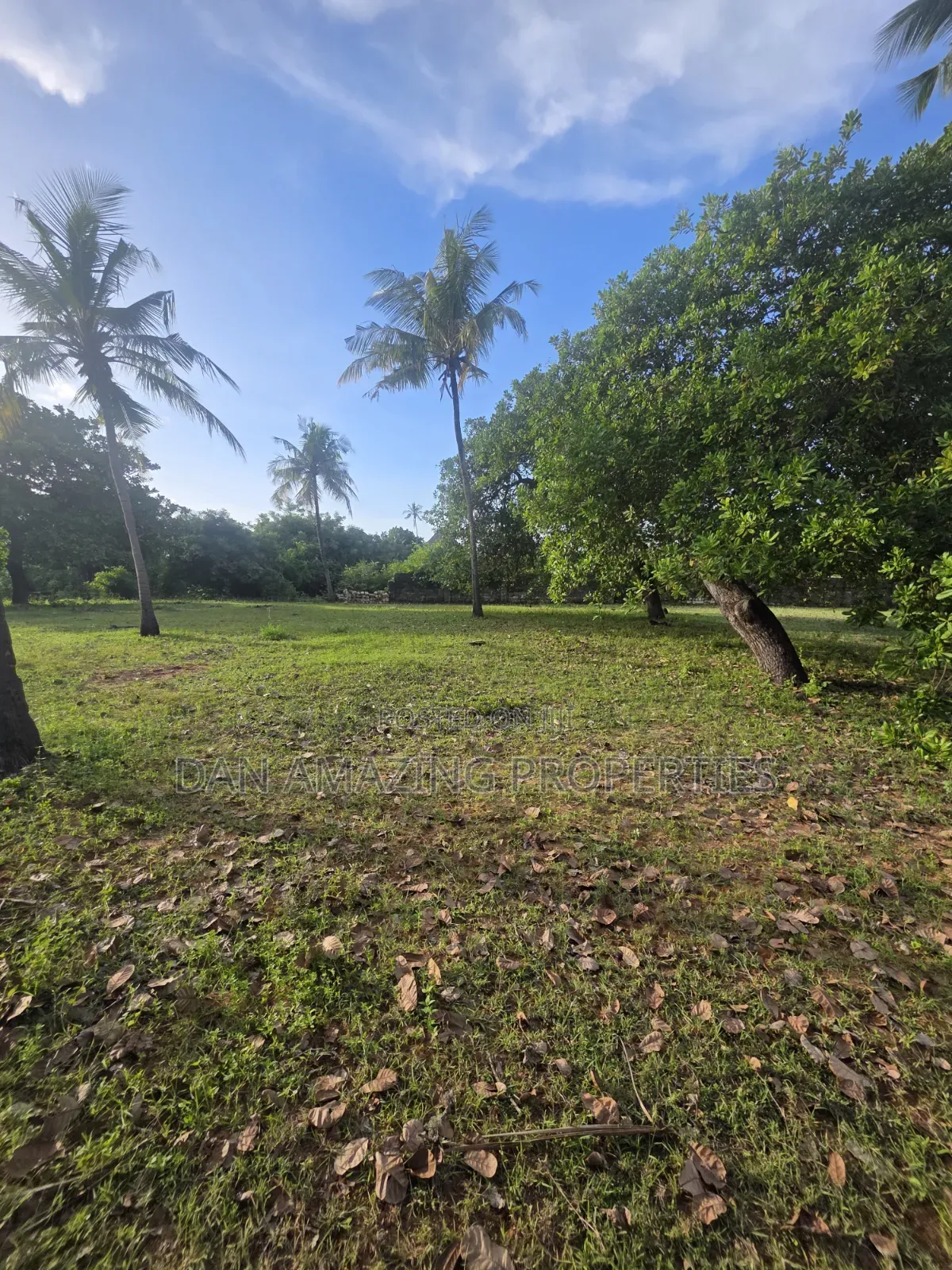 1 Acre With a Well Diani Kongo River Area for Sale 3 Row From the Sea