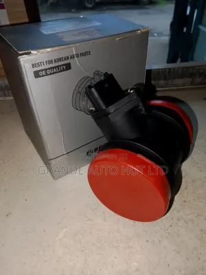 Air Flow Sensor Hyundai Santa Fe/Sonata (Best1 Brand)