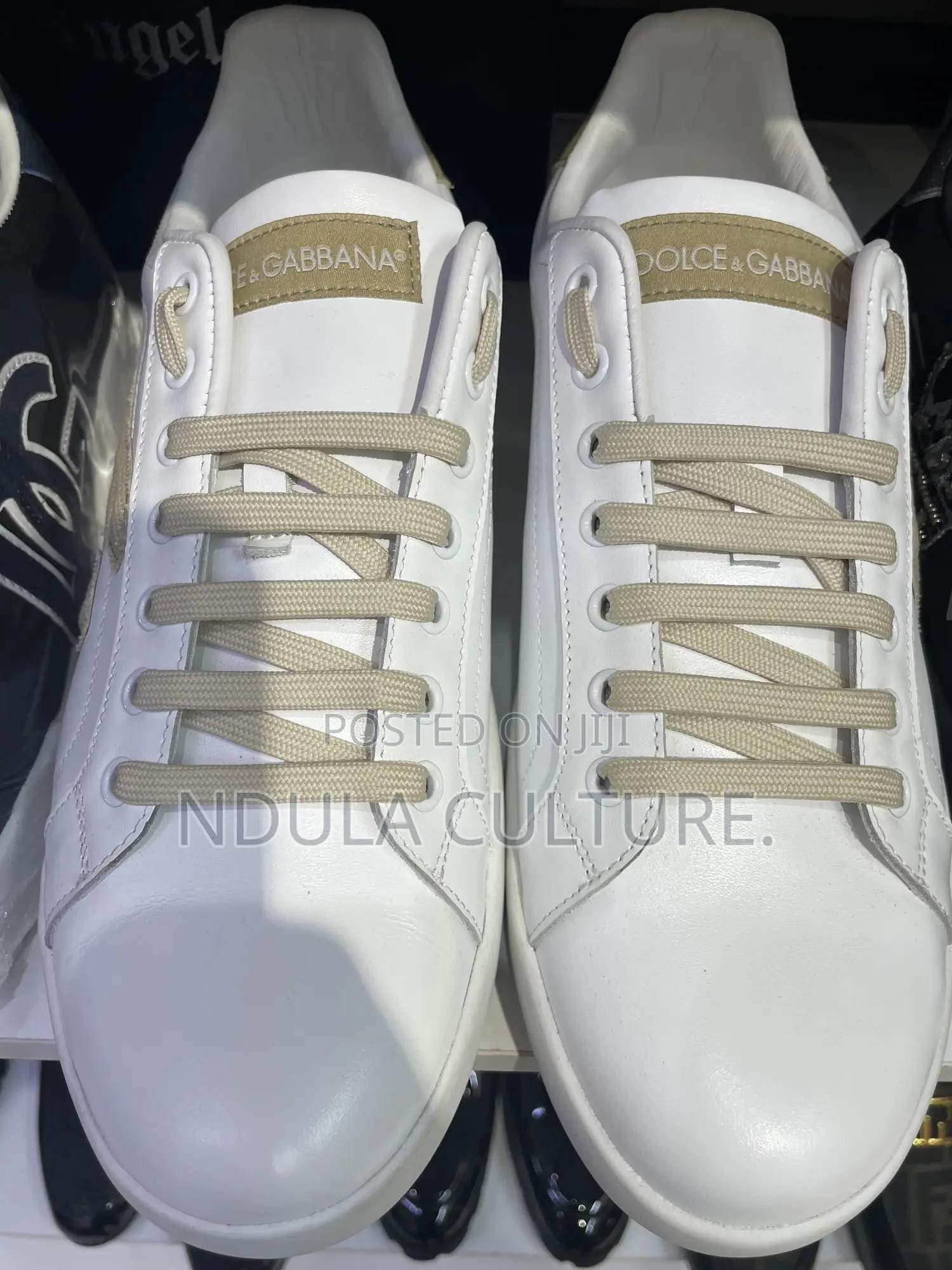 Dolce Gabbana Portofino Sneakers