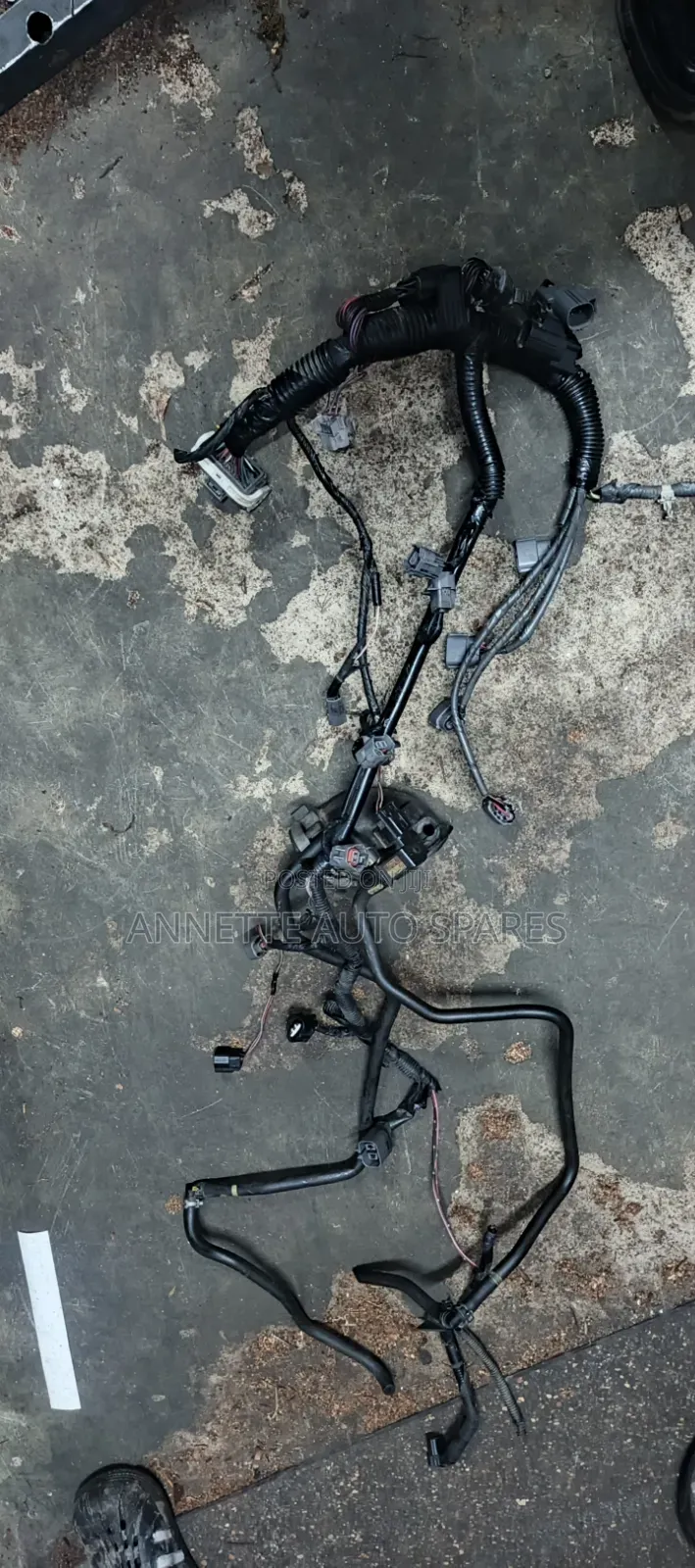 Zj Harness Engine Mazda Demio