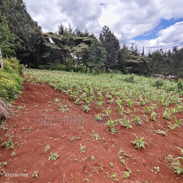 Plot for Sale in Ngong Kibiko