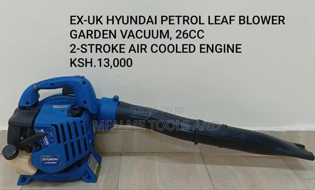 Petrol Leaf Blower Garden Vacuum