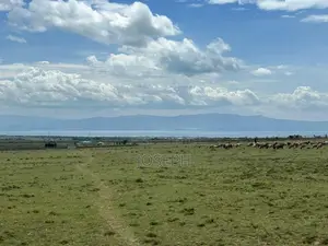Naivasha Kedong 95acres for Sale