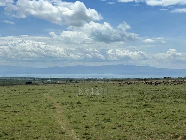 Naivasha Kedong 95acres for Sale