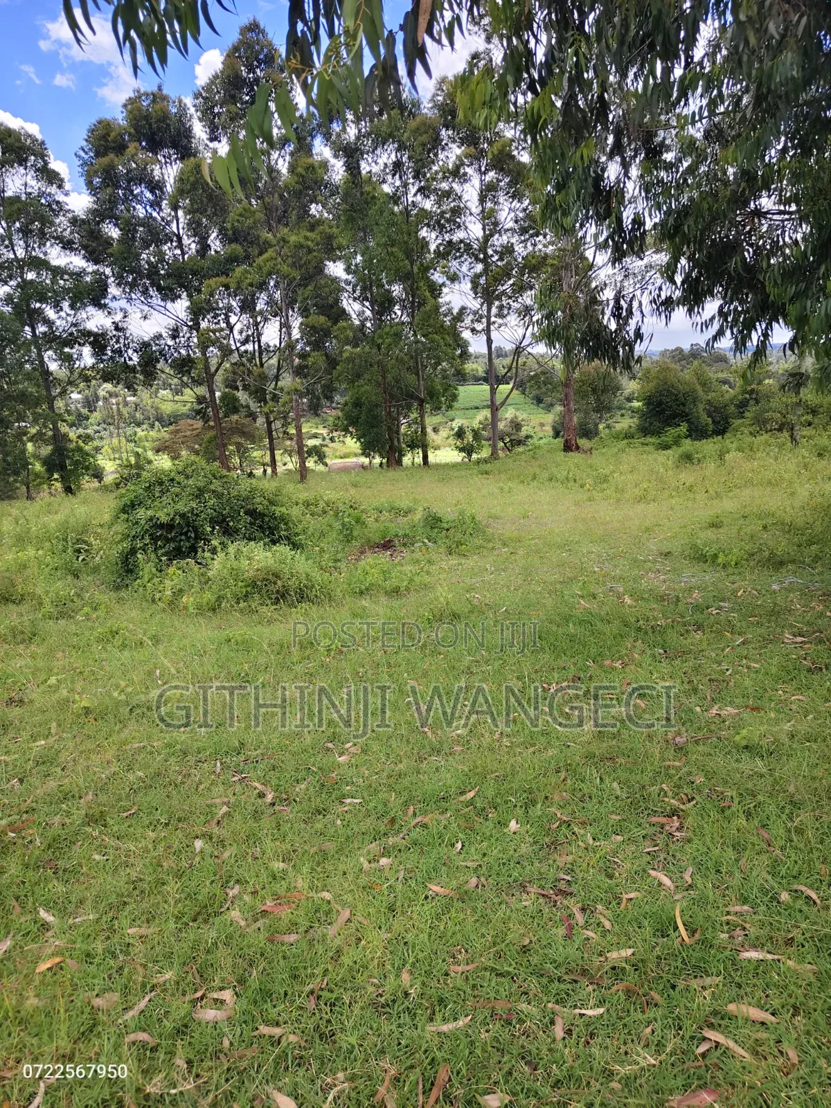 Land for Sale
