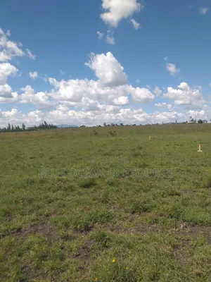 Prime Land for Sale – Joska 