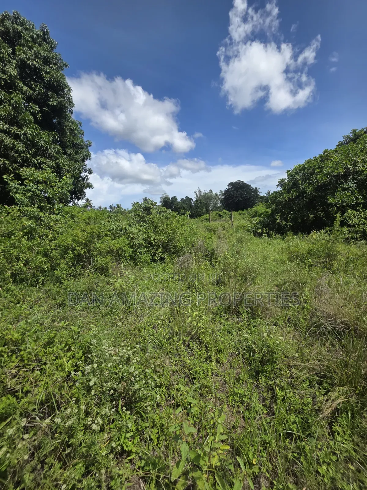 3/4 Plot in Ukunda Shamu for Sale