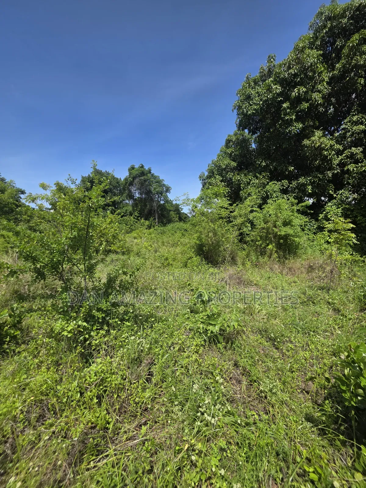 3/4 Plot in Ukunda Shamu for Sale