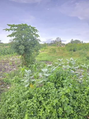 1/4 Acre Plots in Diani Jasmine Area for Sale