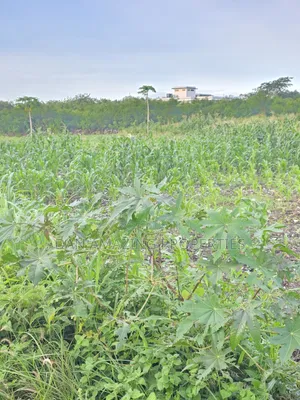 1/4 Acre Plots in Diani Jasmine Area for Sale