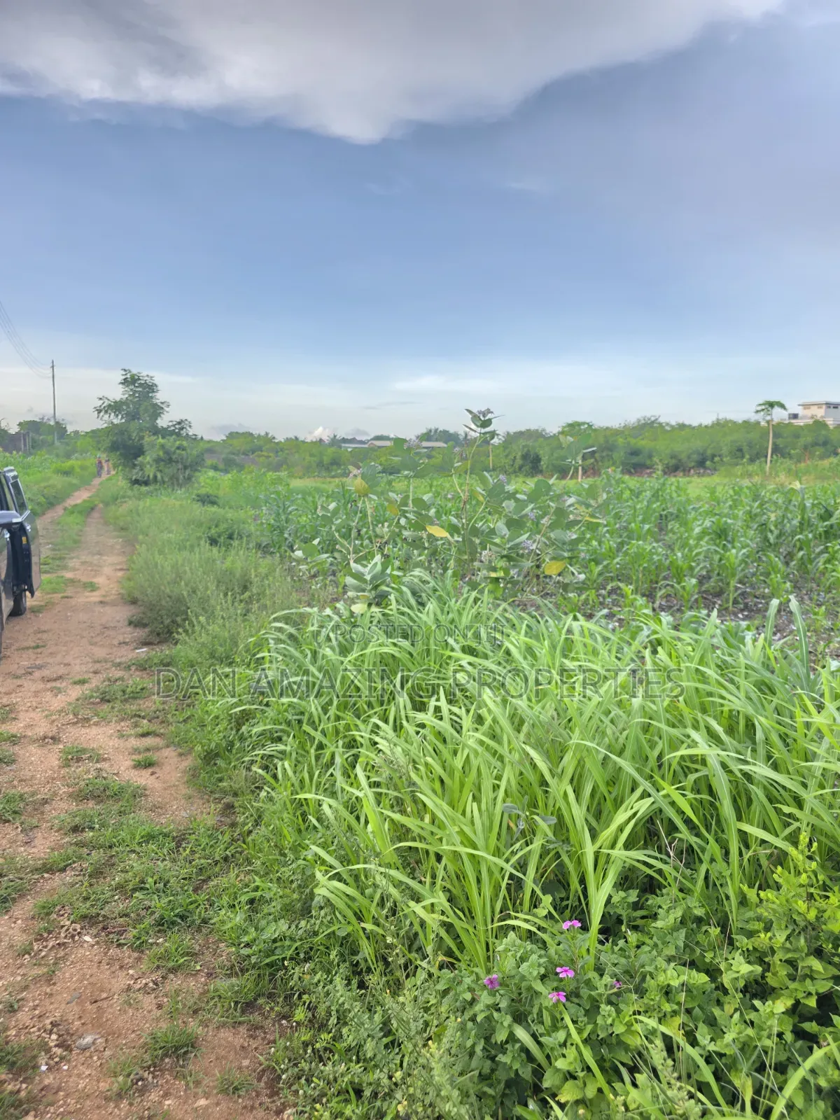1/4 Acre Plots in Diani Jasmine Area for Sale