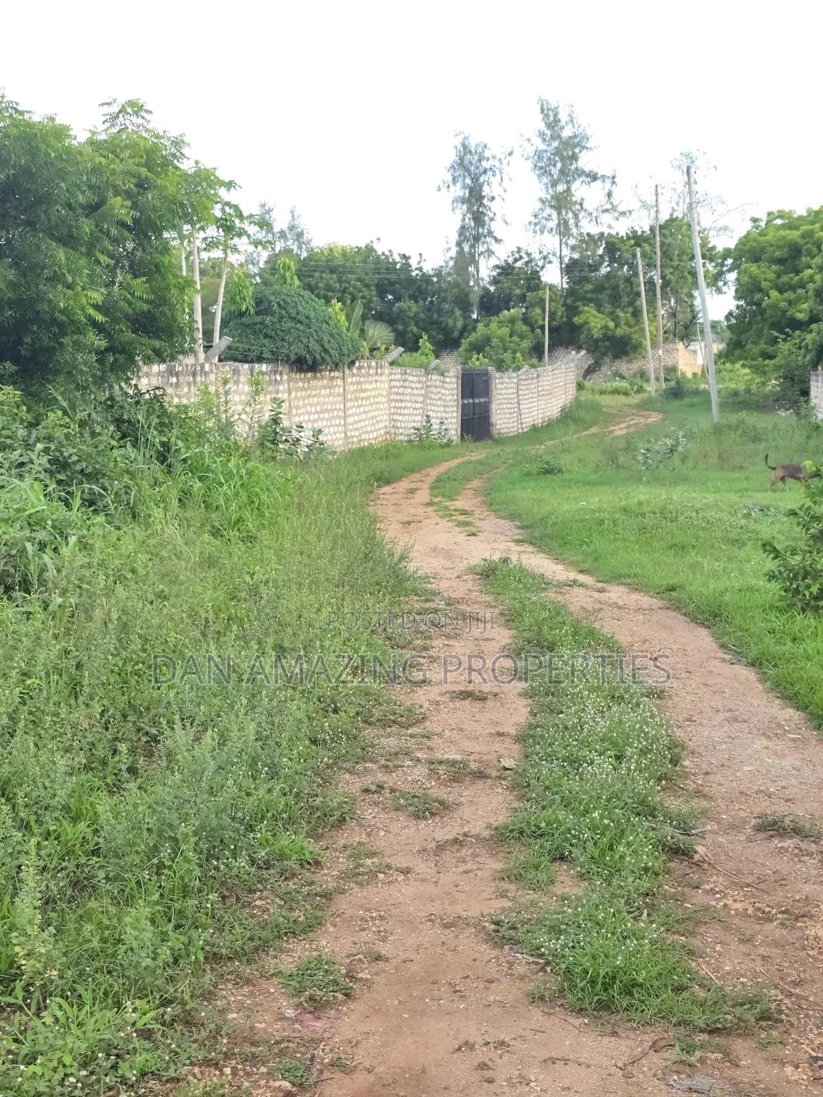 1/4 Acre Plots in Diani Jasmine Area for Sale