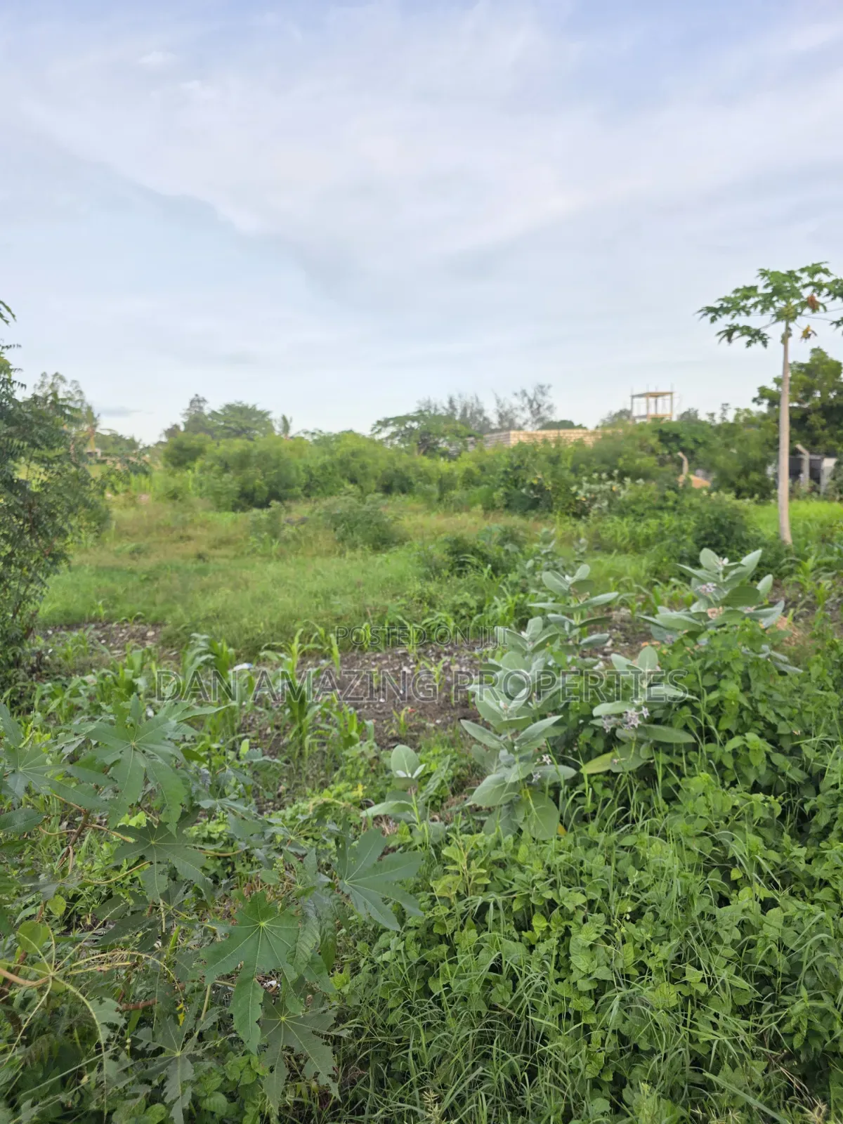 1/4 Acre Plots in Diani Jasmine Area for Sale