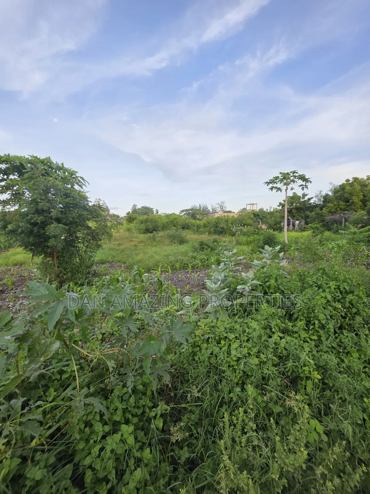 1/4 Acre Plots in Diani Jasmine Area for Sale