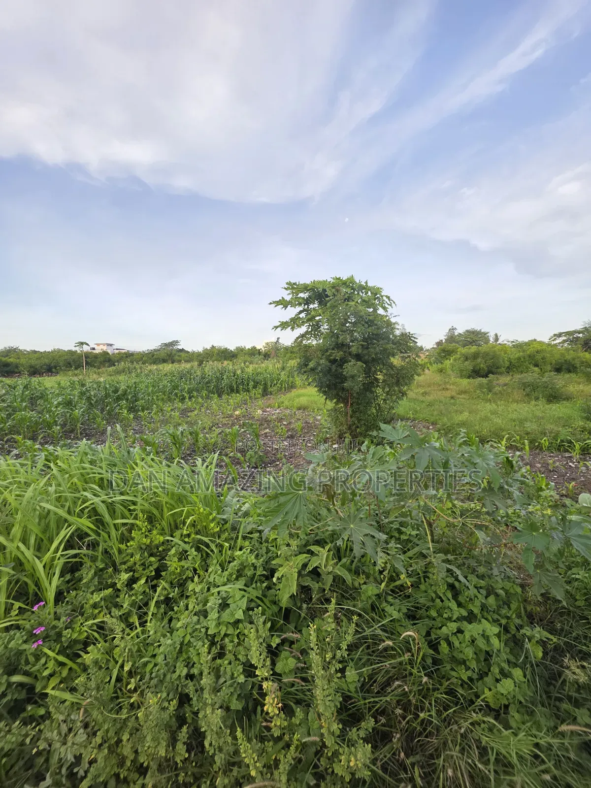 1/4 Acre Plots in Diani Jasmine Area for Sale