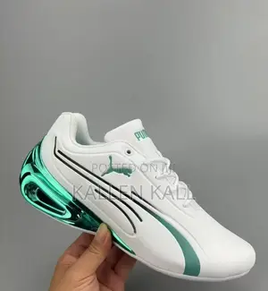 Men Shoes(Puma Ferrari)