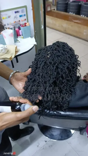Sister Locks Extension