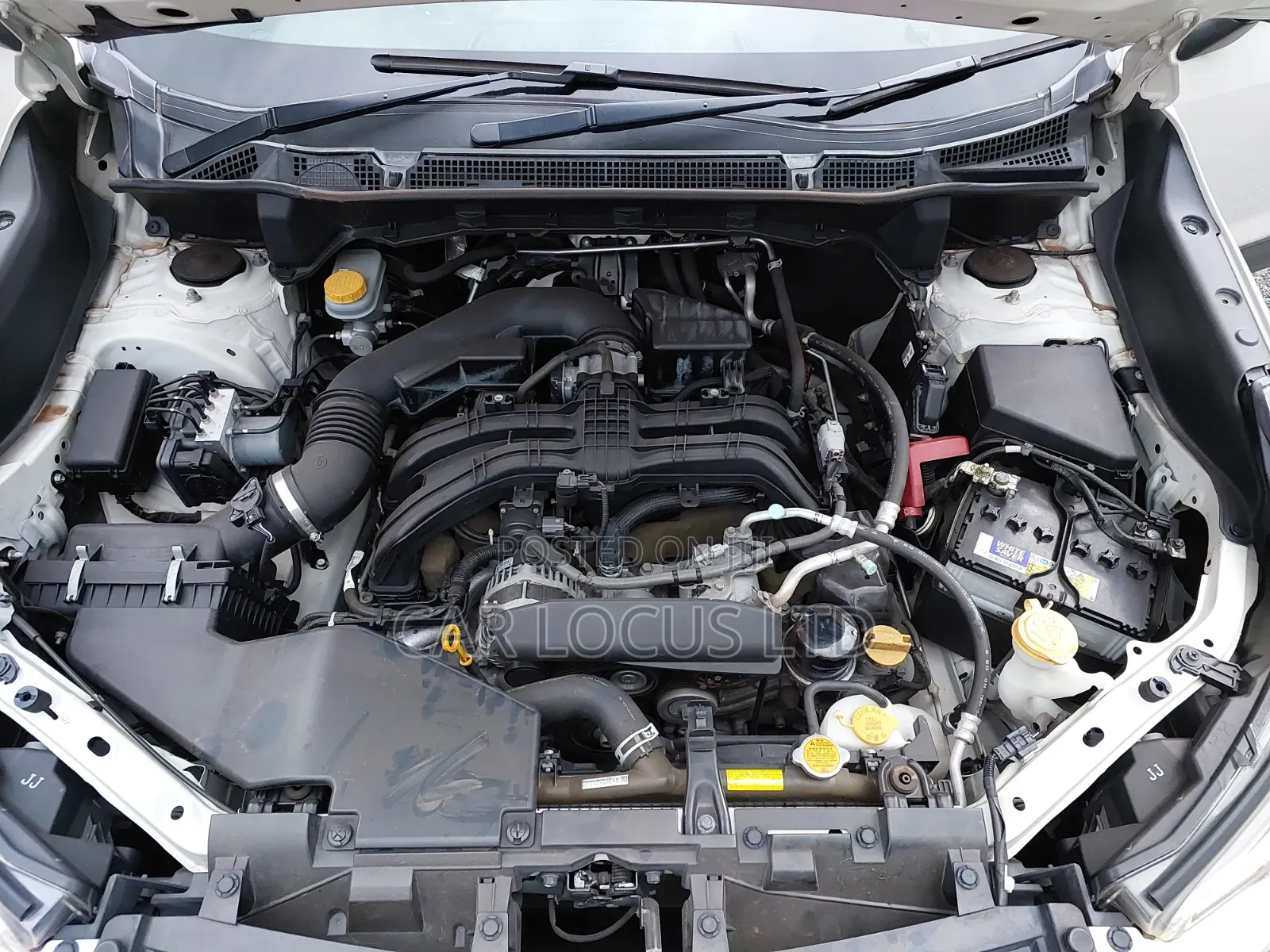 Subaru Forester 2018 Pearl