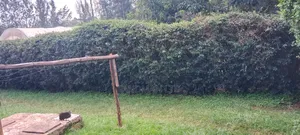 Prime 1/4 Ac Plot Lower Kabete Mwimuto