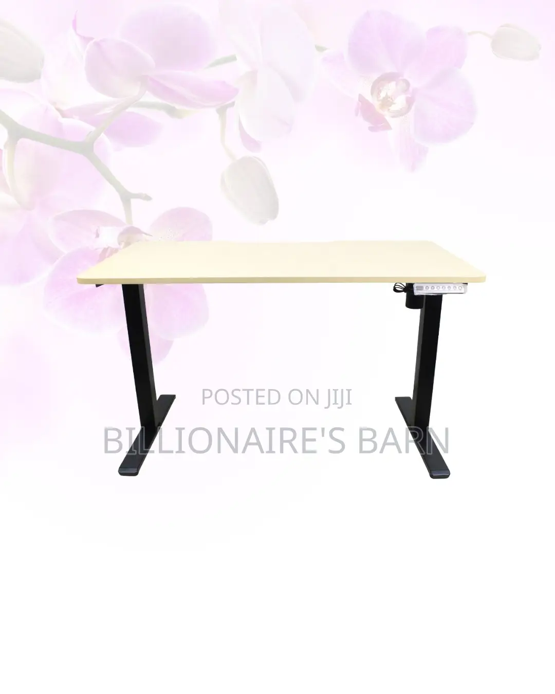 Transform Productivity - Electric Desk All-Day Movement for Office