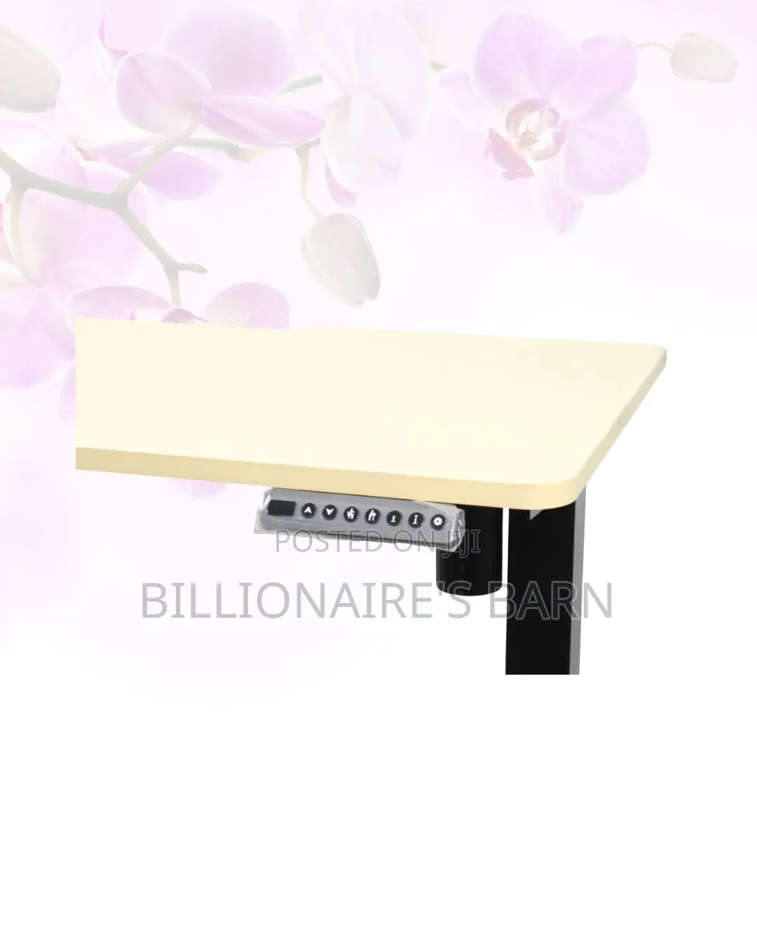 Transform Productivity - Electric Desk All-Day Movement for Office