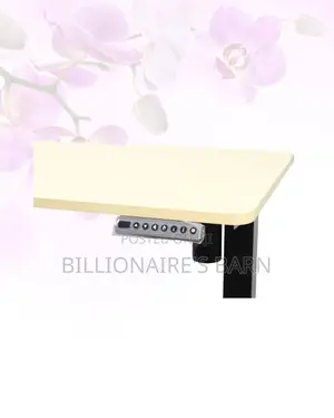Transform Productivity - Electric Desk All-Day Movement for Office