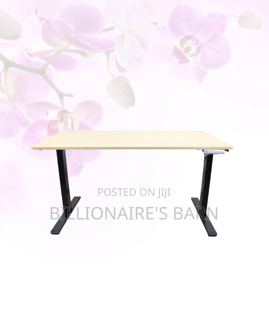 Transform Productivity - Electric Desk All-Day Movement for Office