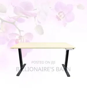 Transform Productivity - Electric Desk All-Day Movement for Office