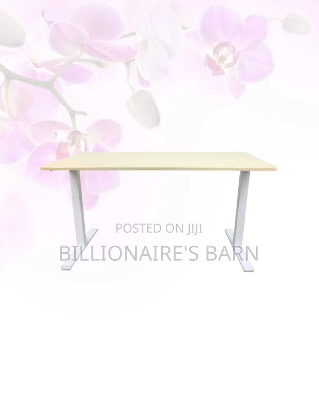 Transform Productivity - Electric Desk All-Day Movement for Office