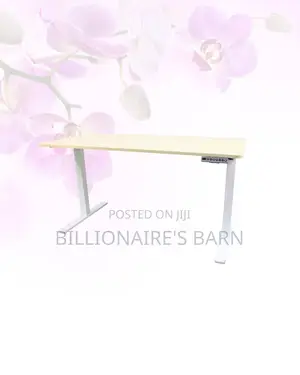 Transform Productivity - Electric Desk All-Day Movement for Office