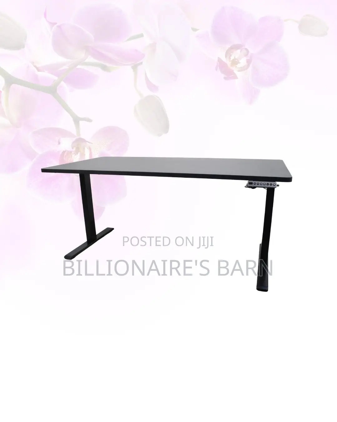 Transform Productivity - Electric Desk All-Day Movement for Office