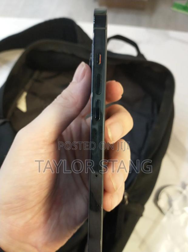 New Apple iPhone 12 Pro Max 128 GB Gray - thumbnail 2