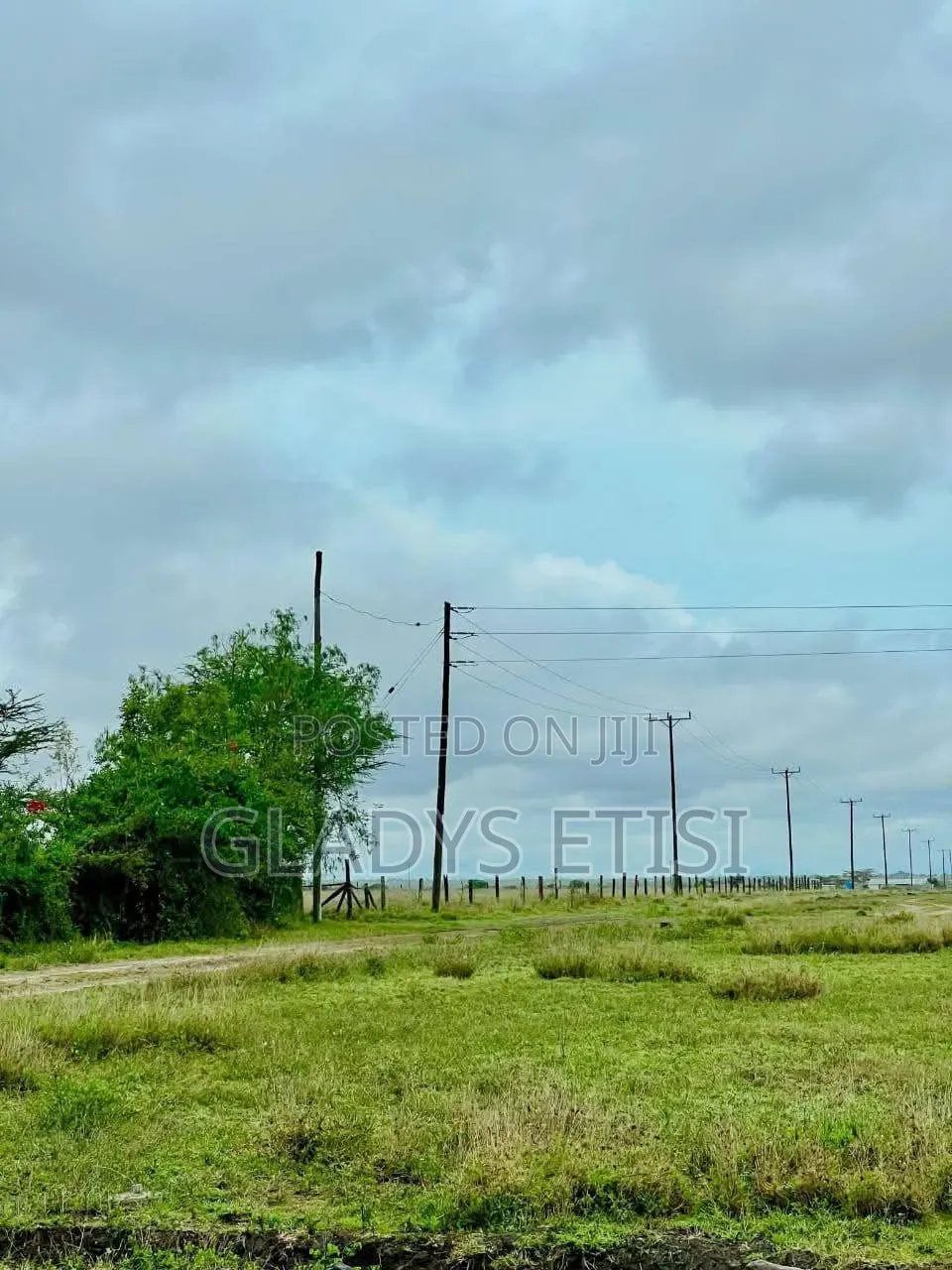 Prime Plots in Kca Kitengela