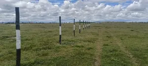 Prime Plots in Kca Kitengela