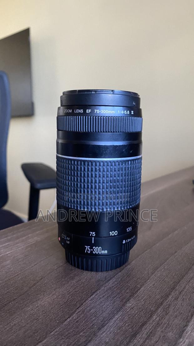Canon Ef 18-55mm 75-300mm - thumbnail 6
